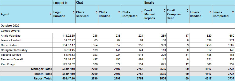 The Agent Work Summary report The Agent Work Summary report